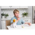 Beagle Nebulizer with Reusable and Disposable Neb Kit
